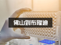 佛山医疗产品寄往布隆迪_出口布隆迪
